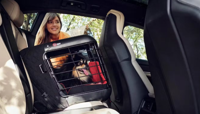 Caja de transporte para perros de Porsche