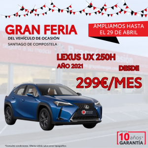 gran feria de breogán ocasión